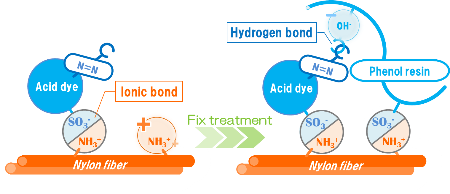 Nylon fix agent dye fixation schematic diagram