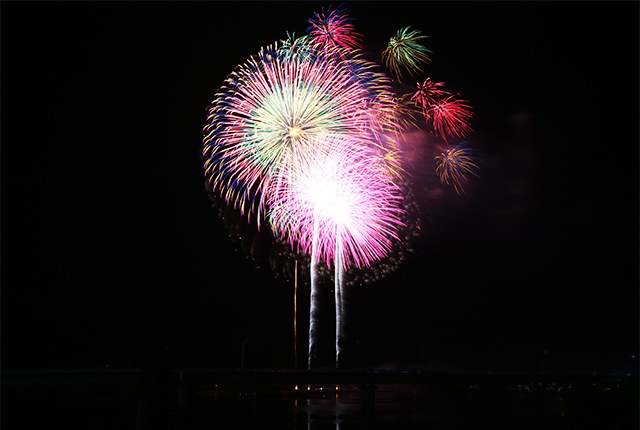 和歌山　港祭り